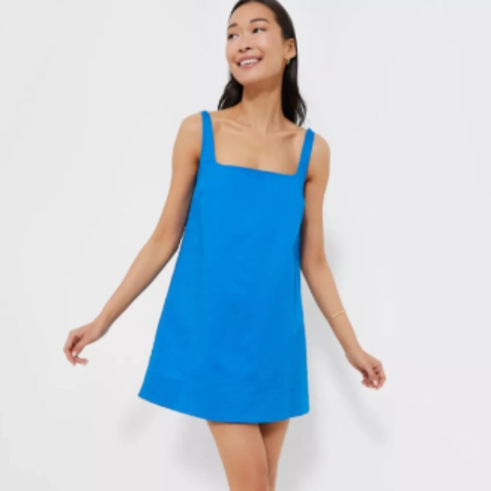 Pomander Place - Cassie Mini Dress, Size XXL $45 (Purchased on Tuckernuck)